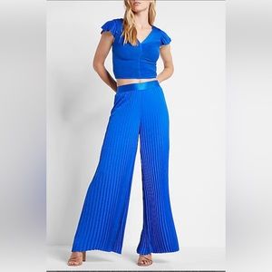 Super High Waisted Pleated Wide Leg
Pant Size 12S